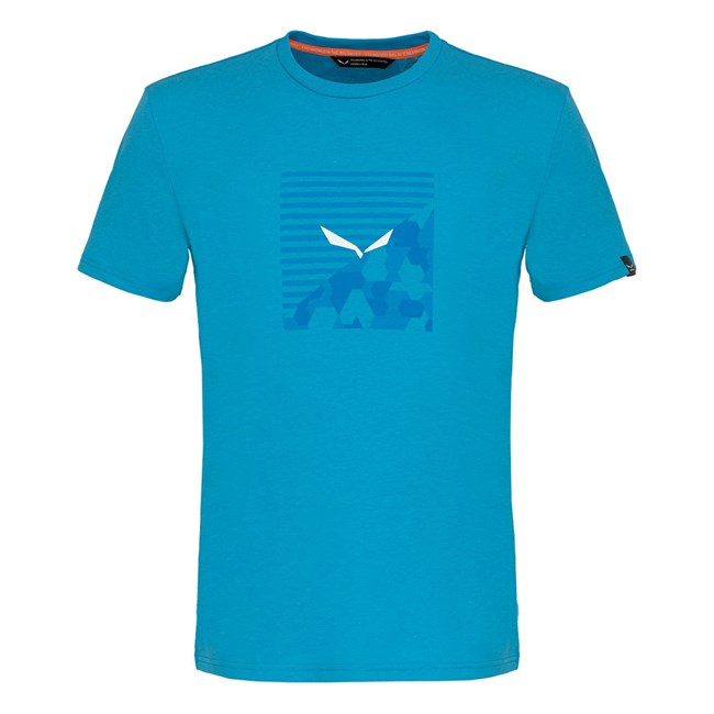 Férfi Salewa Printed Box Dry T-Shirt Rövid Ujjú Ing Szürke | 9083-CWGVS